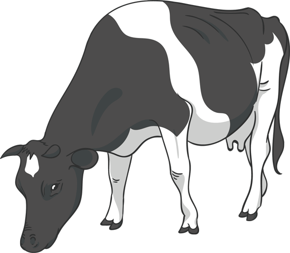 wadaniagrovet